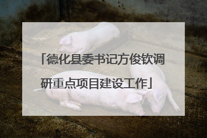 德化县委书记方俊钦调研重点项目建设工作